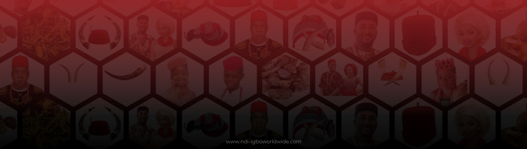 igbo cover