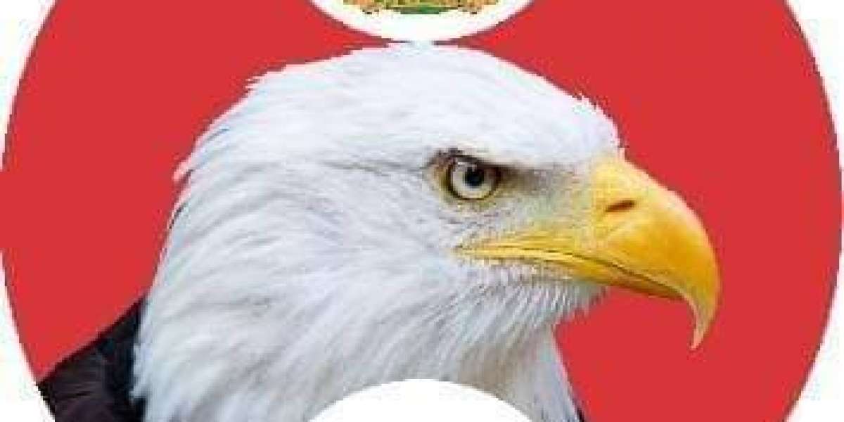 ndiigboworldwide efcc vows to check vote buying in 2023 elections