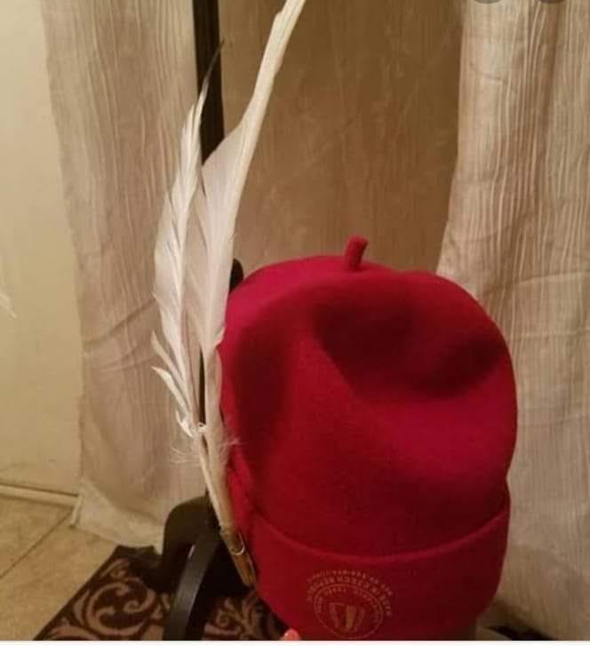 ndiigboworldwide significant of feather on a red cap in igbo cultural society