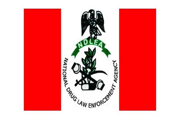NDLEA1