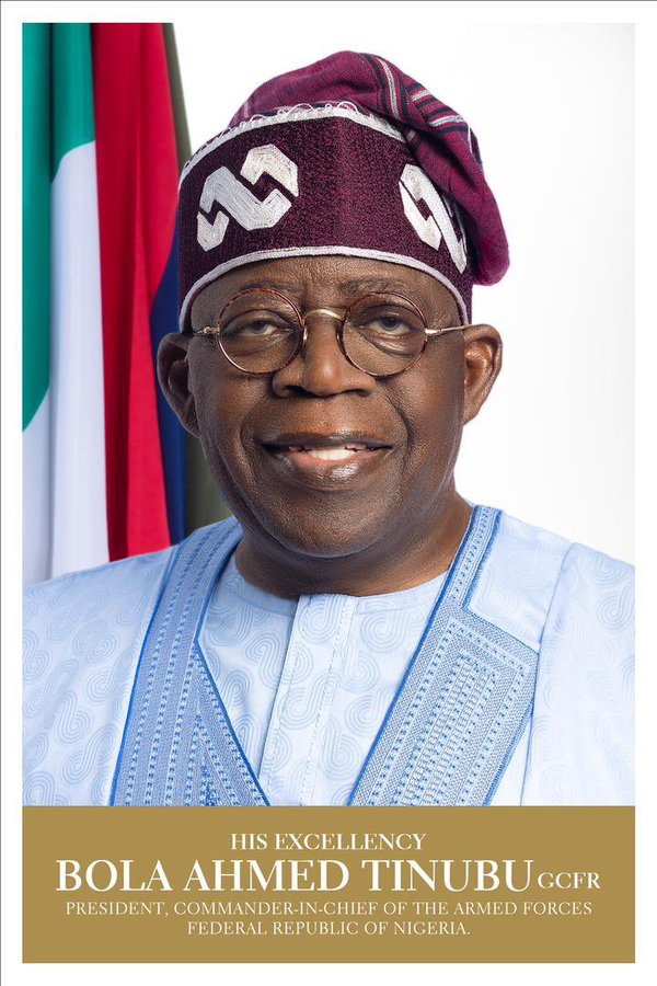 His Excellency Bola Ahmed Tinubu