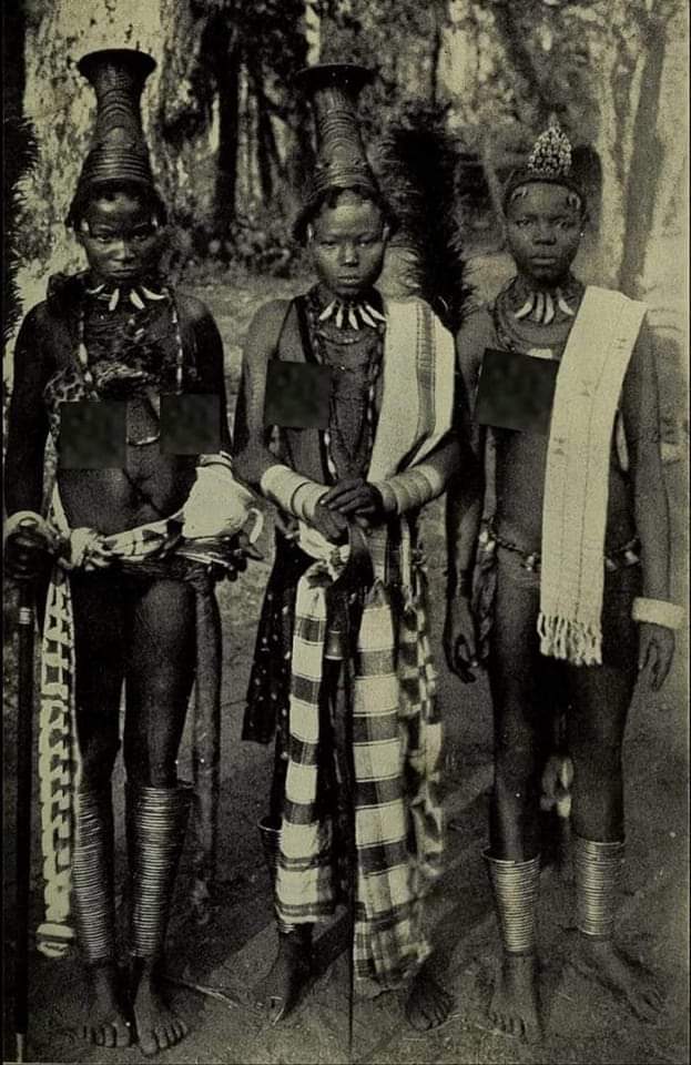 5515abb6 f38f 49a0 a5ba cc7ffe26917e