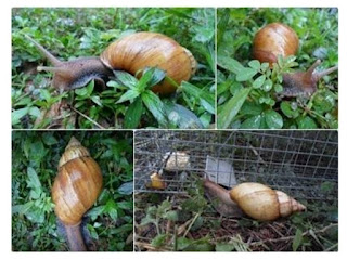 Screenshot 20230823 081447 Google