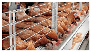 Screenshot 20230823 081847 Google