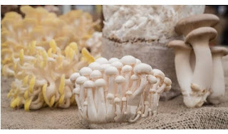 Screenshot 20230823 082058 Google