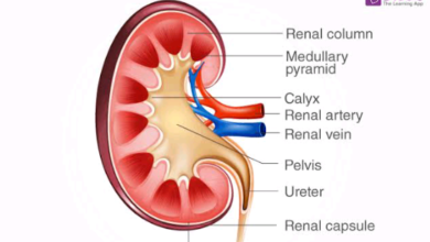 Screenshot 20230912125903