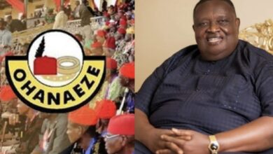 Ohanaeze Forms Committee to Form Igbo Business Leaders Council