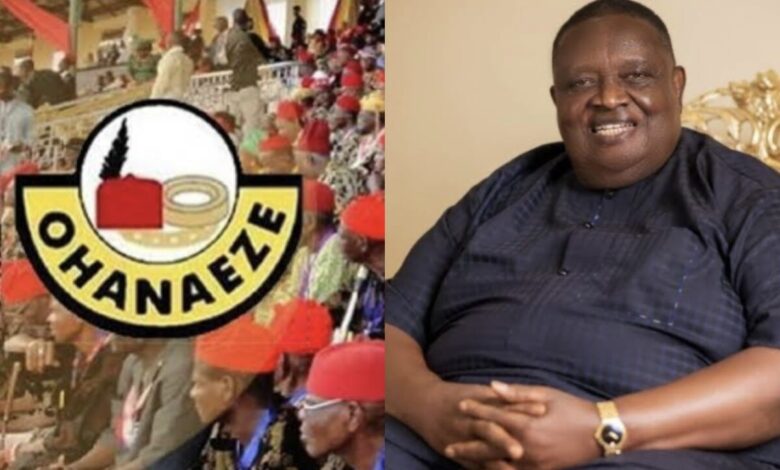 Ohanaeze Forms Committee to Form Igbo Business Leaders Council