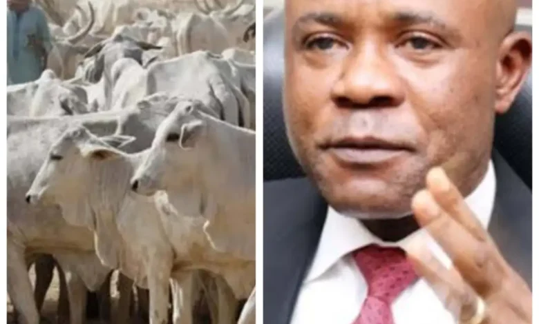 IPOB Challenges Gov. Mbah Regarding Proposal to Build Cattle Ranch in Enugu Locality