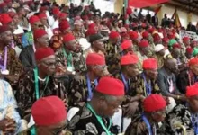 Is it customary in Igbo culture to kneel before proposing marriage to a woman?