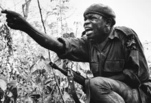 IF NOT FOR THE CIVIL WAR