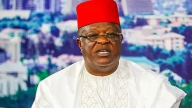 Umahi: Nigeria saved N300 billion by designing a bypass for the Second Niger Bridge