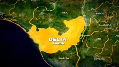 Delta verifies water contamination in the village of Ukwu-Nzu