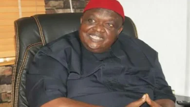 Ohanaeze Ndigbo President