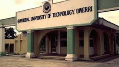 FUTO student fatally stabbed by an Imo undergraduate