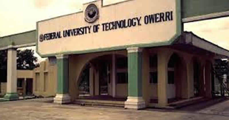FUTO student fatally stabbed by an Imo undergraduate