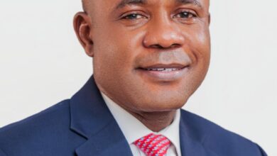 Governor of Enugu appoints CEO and others to the Electricity Regulatory Commission