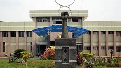 Attack on a nurse:  Enugu Assembly takes action to control masquerade activities