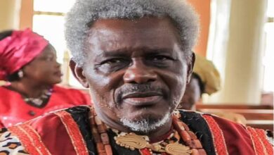 Enugu Monarch Clears Himself of Demolition of Blind Man's House