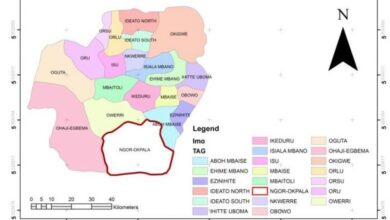 Constituents of Ngor Okpala/Aboh Mbaise Rebel Against Lawmaker