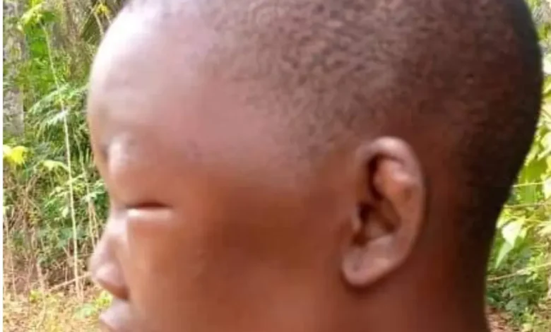 A 19-year-old house girl is brutalized and demoted to primary 3 by an Amambra woman.