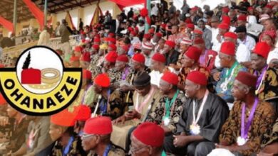 Ohanaeze To Proscribe Isiguzo And Two Academics For Their Anti-Igbo Actions
