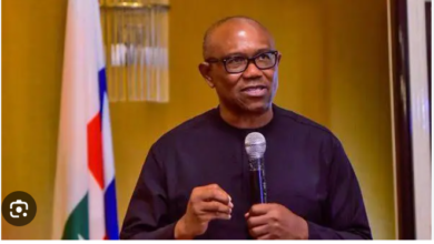 Ohanaeze warns Obi not to rely solely on the northern merger in 2027 polls